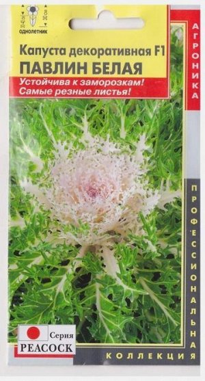 Капуста декоративная Павлин Белый (Код: 76962)