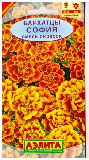 Бархатцы София смесь (Код: 5167)