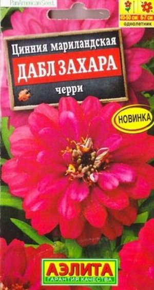 Цинния Дабл Захара Черри (Код: 87698)