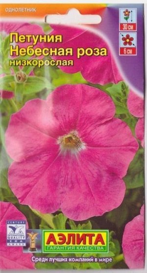 Петуния Небесная Роза (Код: 6699)