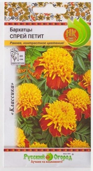 Бархатцы Спрей Петит (Код: 2595)
