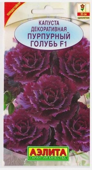 Капуста Декоративная Пурпурный голубь F1 (Код: 11509)