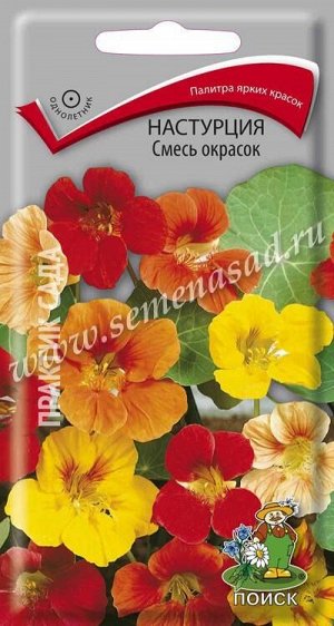 Настурция смесь окрасок (Код: 65969)