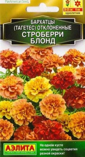 Бархатцы Строберри Блонд (Код: 86775)