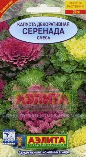 Капуста Декоративная Серенада (Код: 9760)