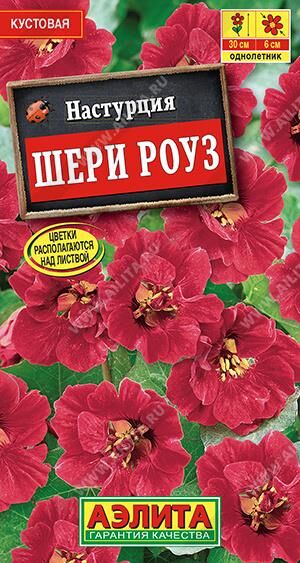 Настурция Шери Роуз карликовая (Код: 7684)