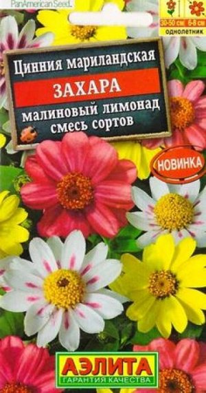 Цинния Захара малиновый лимонад (Код: 87699)