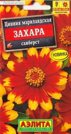 Цинния Захара сансберт (Код: 87700)