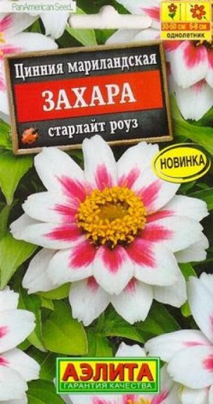 Цинния Захара старлайт роуз (Код: 87701)