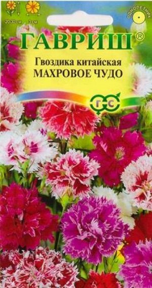 Гвоздика Китайская Махровое чудо смесь (Код: 69149)