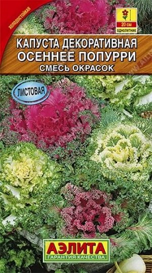 Капуста декорвтивная Осеннее попурри (Код: 9613)