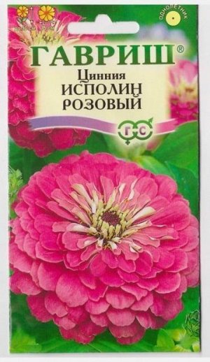 Цинния Исполин розовый (Код: 70971)