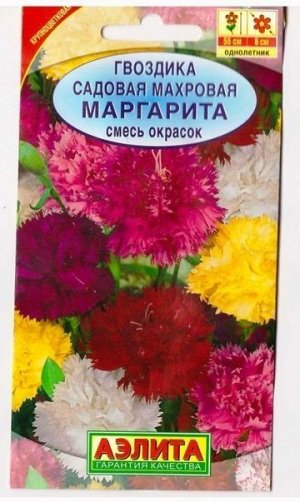 Гвоздика Садовая Маргарита (Код: 15343)