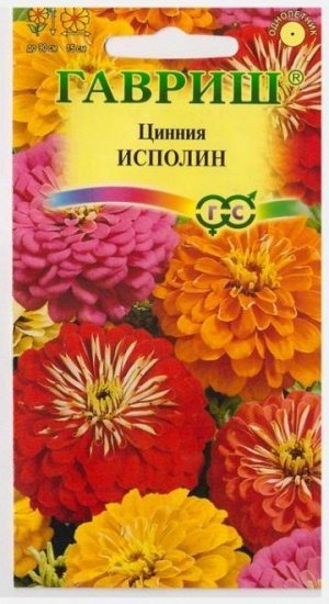 Цинния Исполин смесь (Код: 71839)