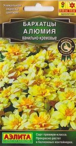 Бархатцы Алюмия Ванильно-кремовые (Код: 73693)
