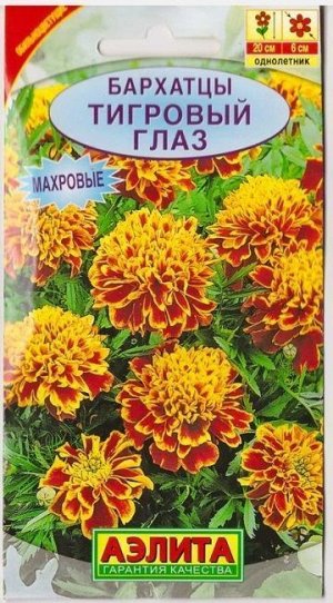 Бархатцы Тигровый глаз (Код: 3560)
