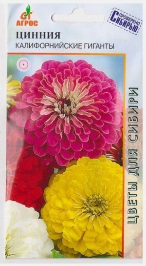 Цинния Калифорнийские гиганты (Код: 17054)