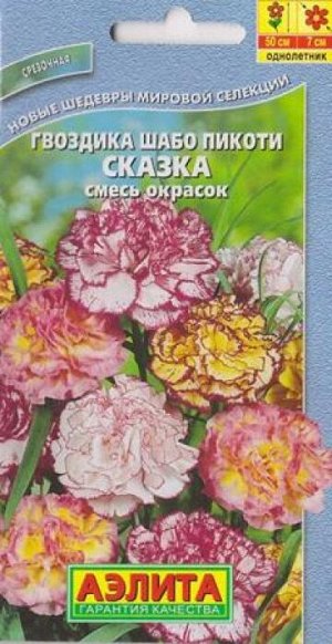 Гвоздика Шабо Пикоти Сказка (Код: 2124)