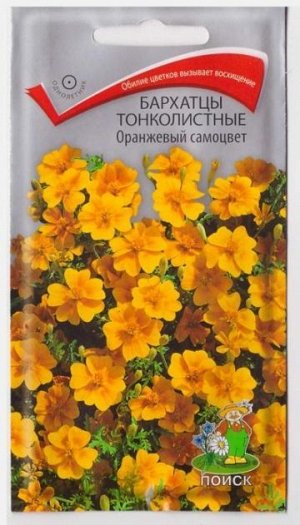 Бархатцы тонколистные Оранжевый Самоцвет (Код: 16569)