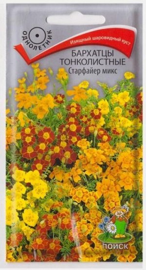 Бархатцы тонколистные Старфайер микс (Код: 16571)