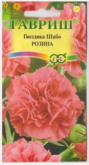 Как выглядят семена гвоздики шабо