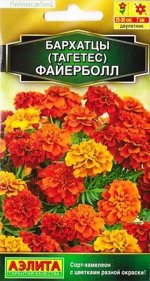 Бархатцы Файерболл (Код: 85141)