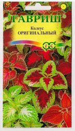 Колеус Оригинальная смесь (Код: 36)