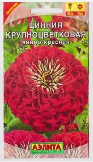 Цинния Крупноцветковая Винно-красная (Код: 68612)