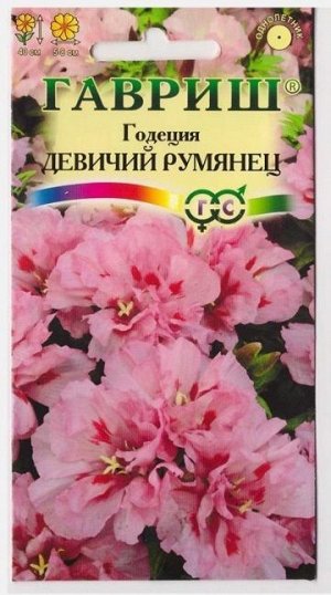 Годеция Девичий Румянец (Код: 67539)