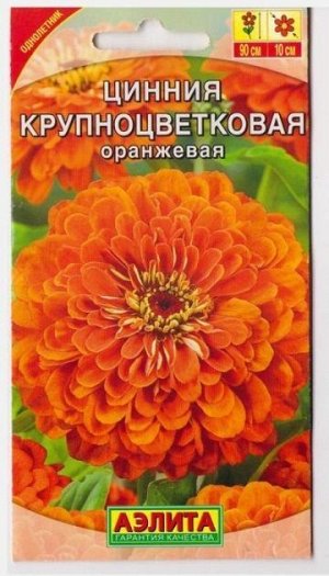 Цинния Крупноцветковая Оранжевая (Код: 69364)