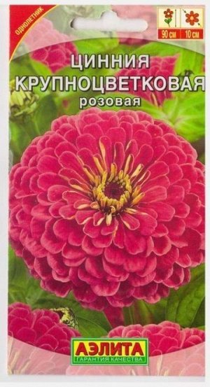 Цинния Крупноцветковая Розовая (Код: 69365)