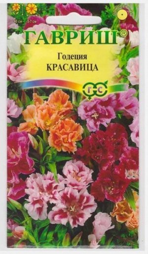 Годеция Красавица (Код: 4015)