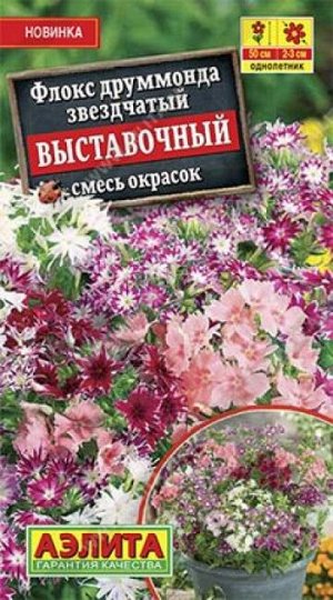 Флокс Выставочный (Код: 86094)