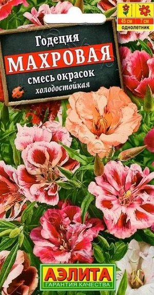 Годеция Махровая (смесь) (Код: 9006)