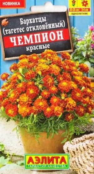 Бархатцы Чемпион красные (Код: 87656)