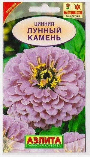 Цинния Лунный камень (Код: 6716)