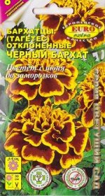 Бархатцы Черный бархат (Код: 4625)