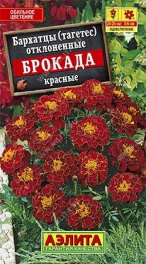 Бархатцы Брокада Красная (Код: 85994)