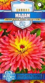 Цинния Мадам (Код: 84702)