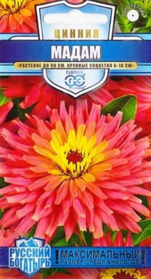 Цинния Мадам (Код: 84702)
