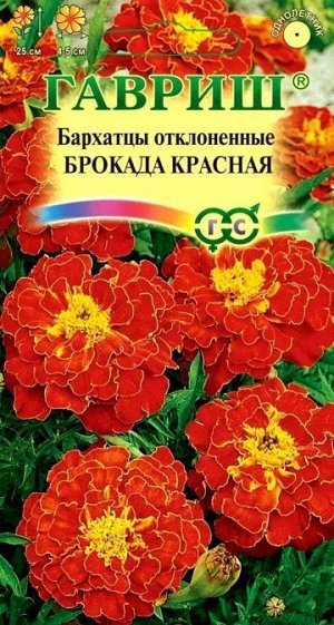 Бархатцы Брокада Красная (Код: 71809)
