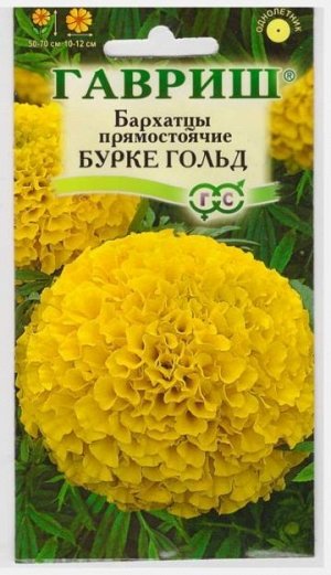 Бархатцы Бурке Гольд (Код: 9324)