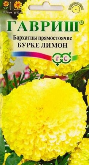 Бархатцы Бурке Лимон (Код: 82196)
