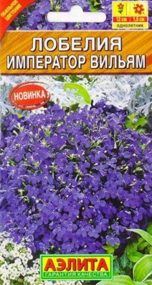 Лобелия Император Вильям (Код: 83271)
