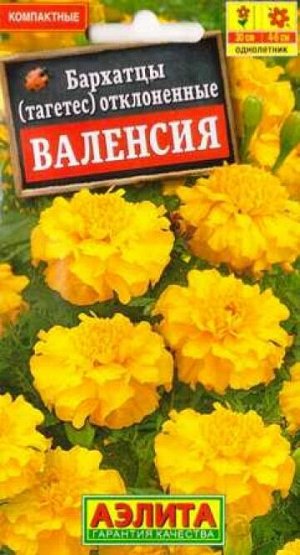 Бархатцы Валенсия (Код: 86409)