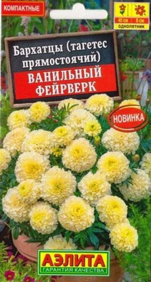Бархатцы Ванильный фейерверк (Код: 87557)