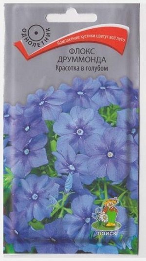 Флокс Красотка в голубом (Код: 67719)