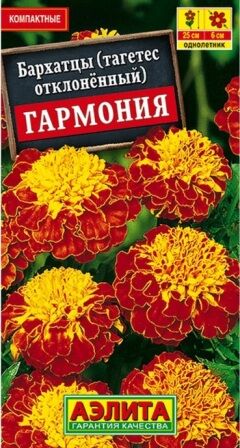 Бархатцы Гармония (Код: 5712)