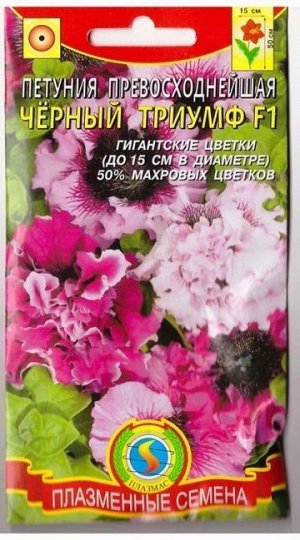 Петуния Превосходнейшая Черный Триумф F1 (Код: 75393)