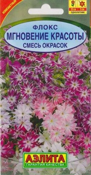 Флокс Мгновение Красоты смесь (Код: 3838)